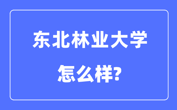 东北林业大学是985还是211,东北林业大学怎么样？