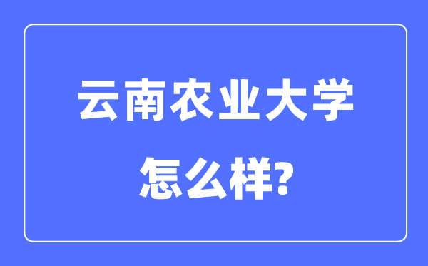 云南农业大学是几本一本还是二本,云南农业大学怎么样？