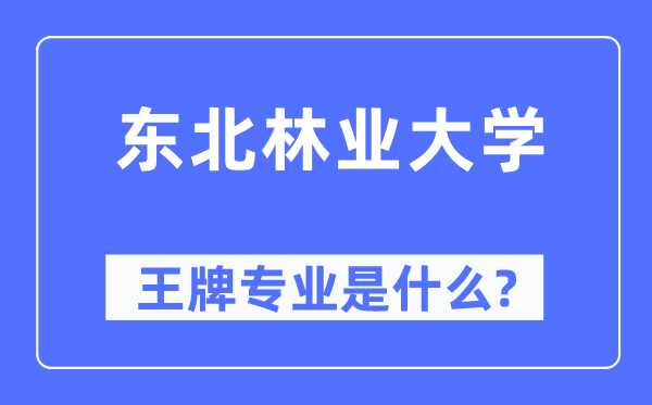 东北林业大学王牌专业是什么,有哪些专业比较好？