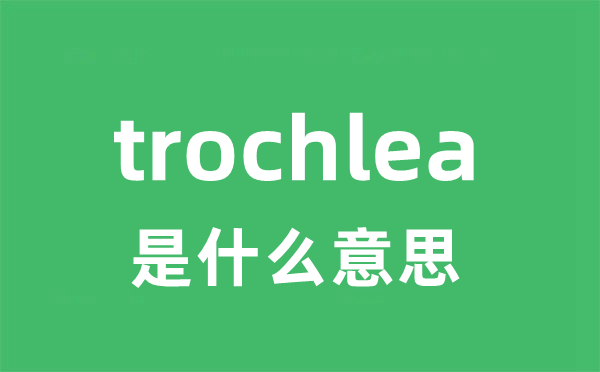 trochlea是什么意思