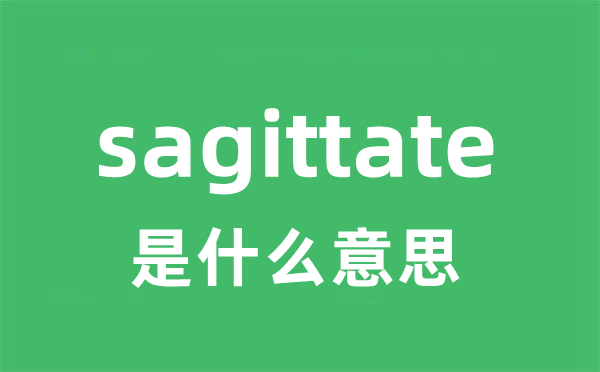 sagittate是什么意思