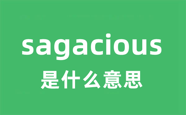 sagacious是什么意思