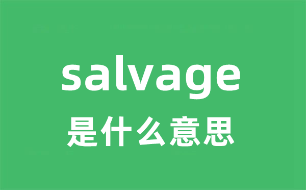 salvage是什么意思