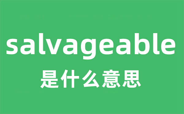 salvageable是什么意思