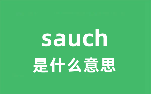 sauch是什么意思