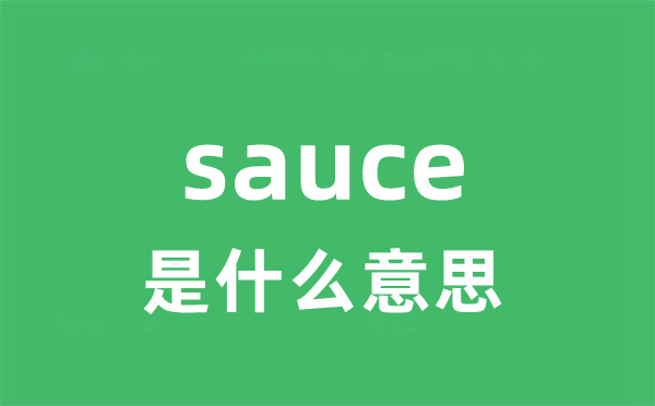 sauce是什么意思