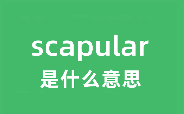 scapular是什么意思