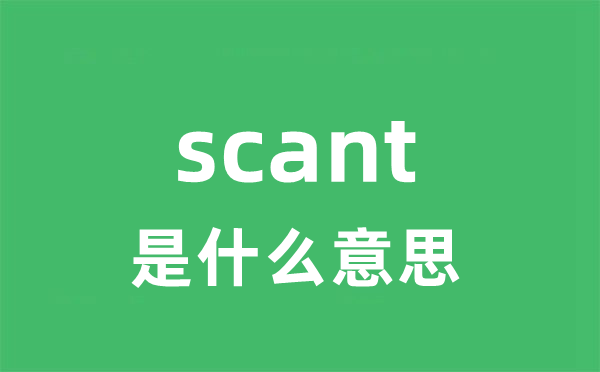 scant是什么意思