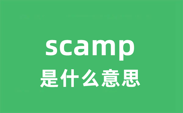 scamp是什么意思