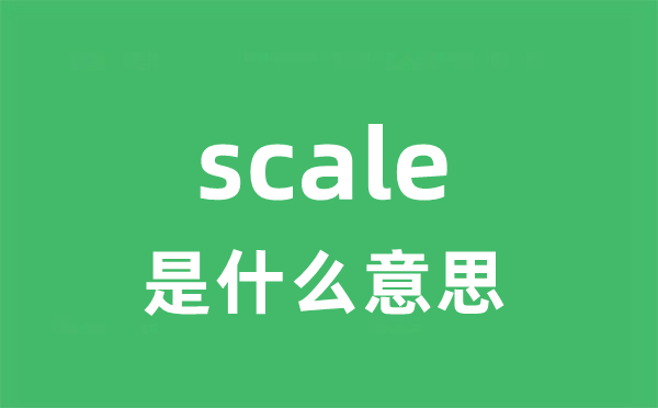 scale是什么意思