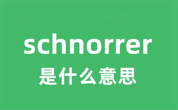 schnorrer是什么意思