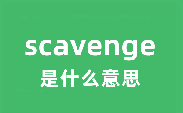 scavenge是什么意思