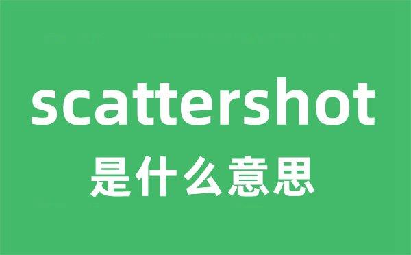 scattershot是什么意思