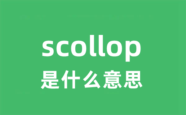 scollop是什么意思