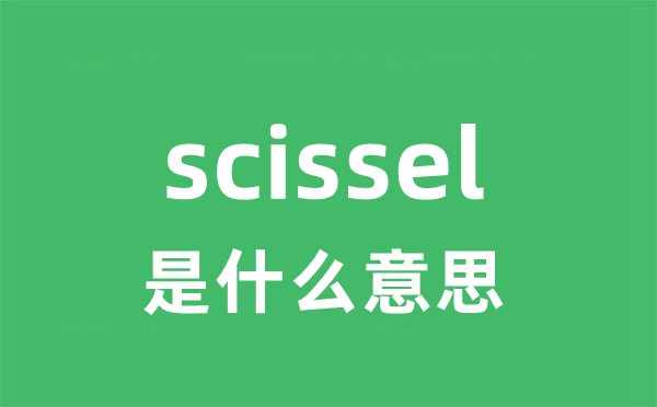 scissel是什么意思