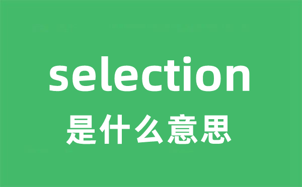 selection是什么意思