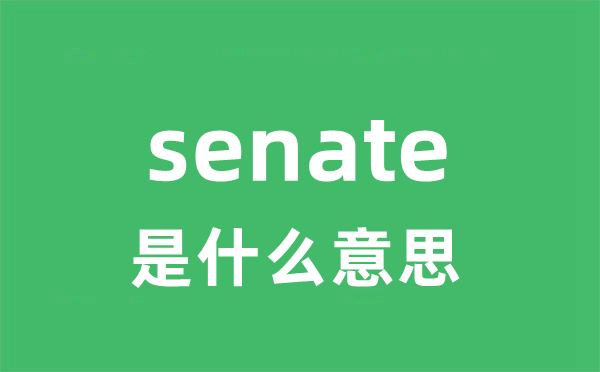 senate是什么意思