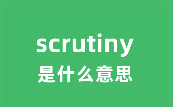 scrutiny是什么意思