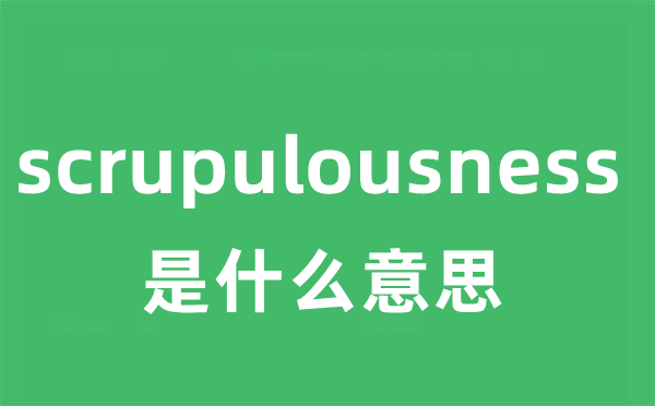 scrupulousness是什么意思