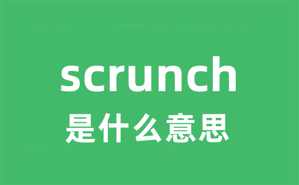 scrunch是什么意思