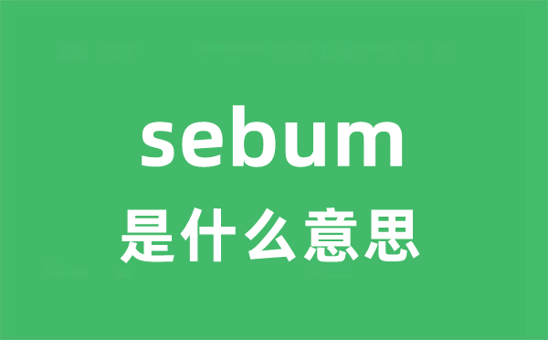 sebum是什么意思