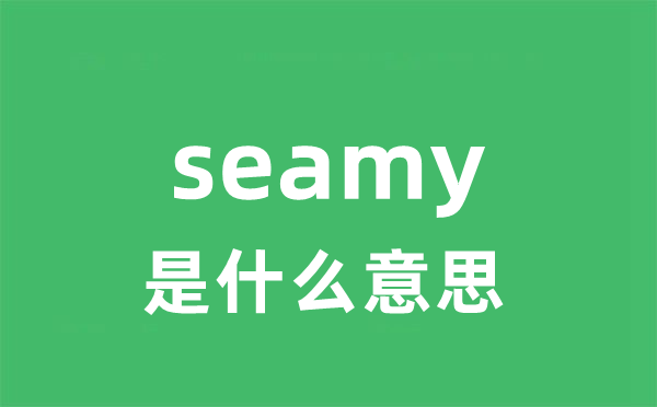 seamy是什么意思