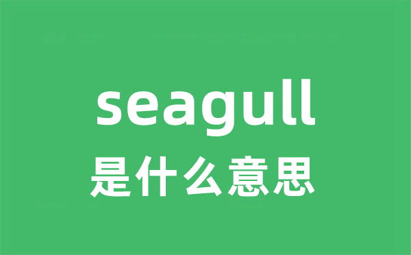 seagull是什么意思