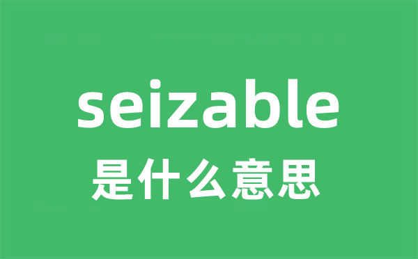 seizable是什么意思