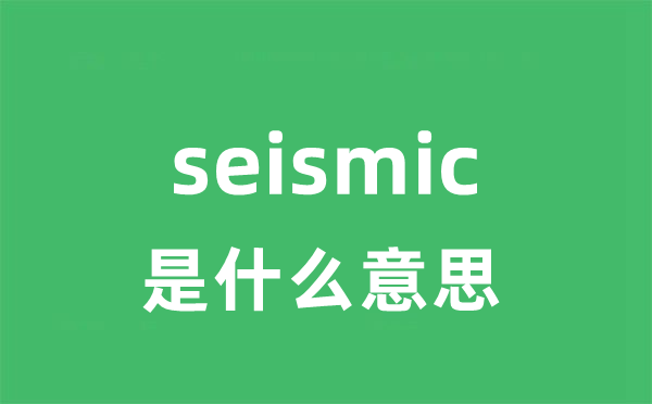 seismic是什么意思