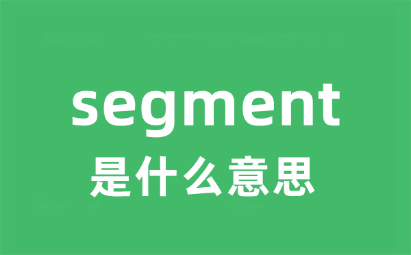 segment是什么意思