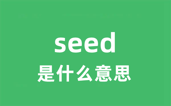 seed是什么意思