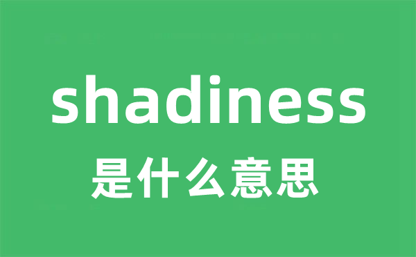 shadiness是什么意思