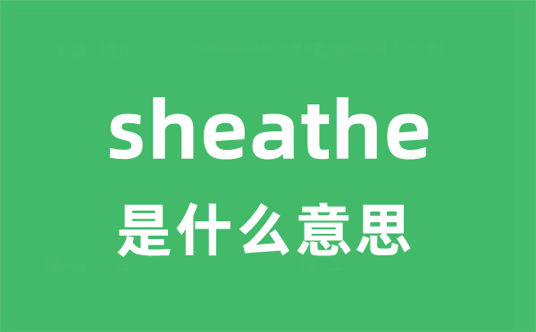 sheathe是什么意思