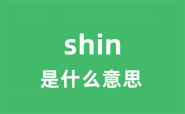 shin是什么意思