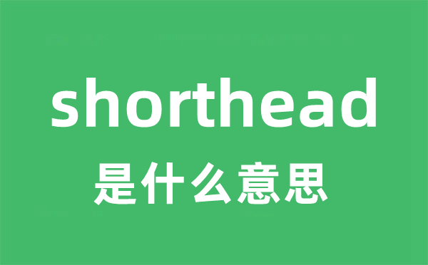 shorthead是什么意思