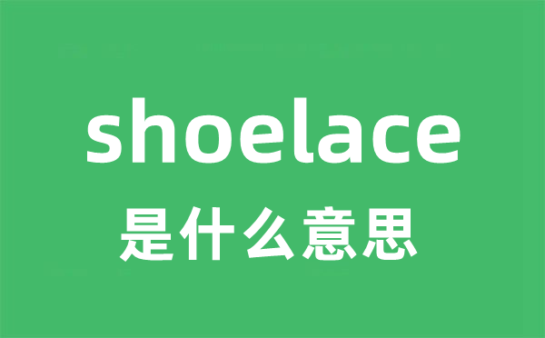 shoelace是什么意思