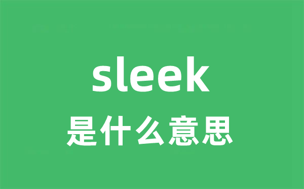 sleek是什么意思