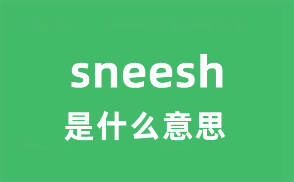 sneesh是什么意思