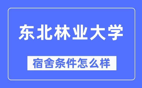 东北林业大学宿舍条件怎么样,有空调和独立卫生间吗？（附宿舍图片）