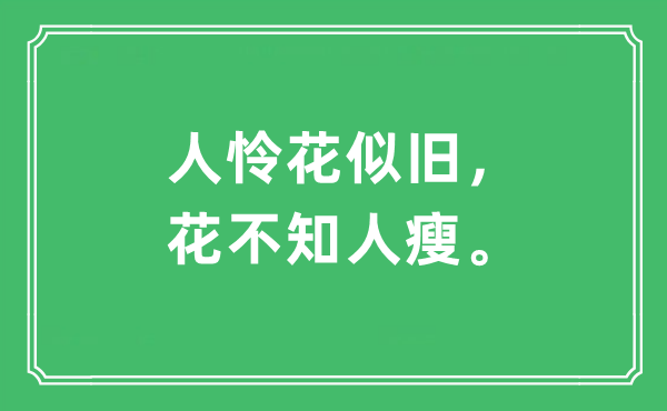 “人怜花似旧，花不知人瘦”是什么意思,出处及原文翻译