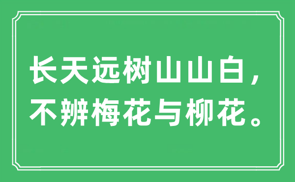 “长天远树山山白，不辨梅花与柳花”是什么意思,出处及原文翻译