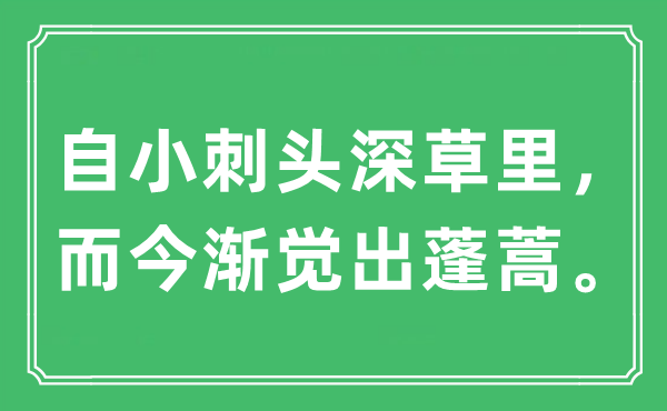 “自小刺头深草里，而今渐觉出蓬蒿”是什么意思,出处及原文翻译