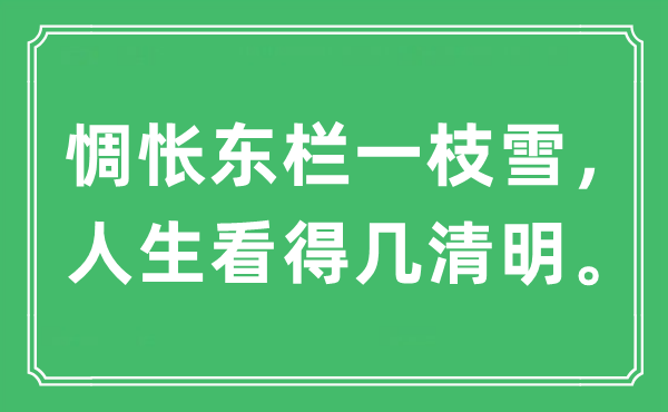 “惆怅东栏一枝雪，人生看得几清明。”是什么意思,出处及原文翻译