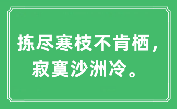 “拣尽寒枝不肯栖，寂寞沙洲冷”是什么意思,出处及原文翻译