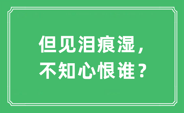 “但见泪痕湿，不知心恨谁？”是什么意思,出处及原文翻译