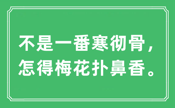 “不是一番寒彻骨，怎得梅花扑鼻香”是什么意思,出处及原文翻译