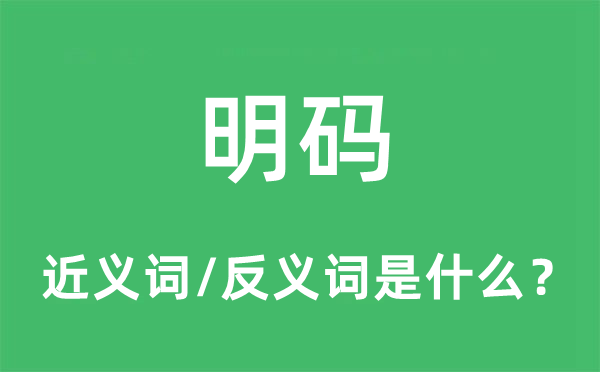 明码的近义词和反义词是什么,明码是什么意思