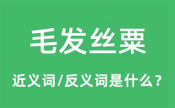 毛发丝粟的近义词和反义词是什么,毛发丝粟是什么意思