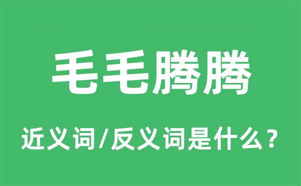 毛毛腾腾的近义词和反义词是什么,毛毛腾腾是什么意思