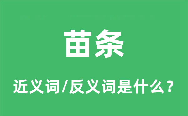 苗条的近义词和反义词是什么,苗条是什么意思